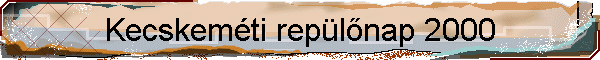 Kecskem�ti rep�l�nap 2000